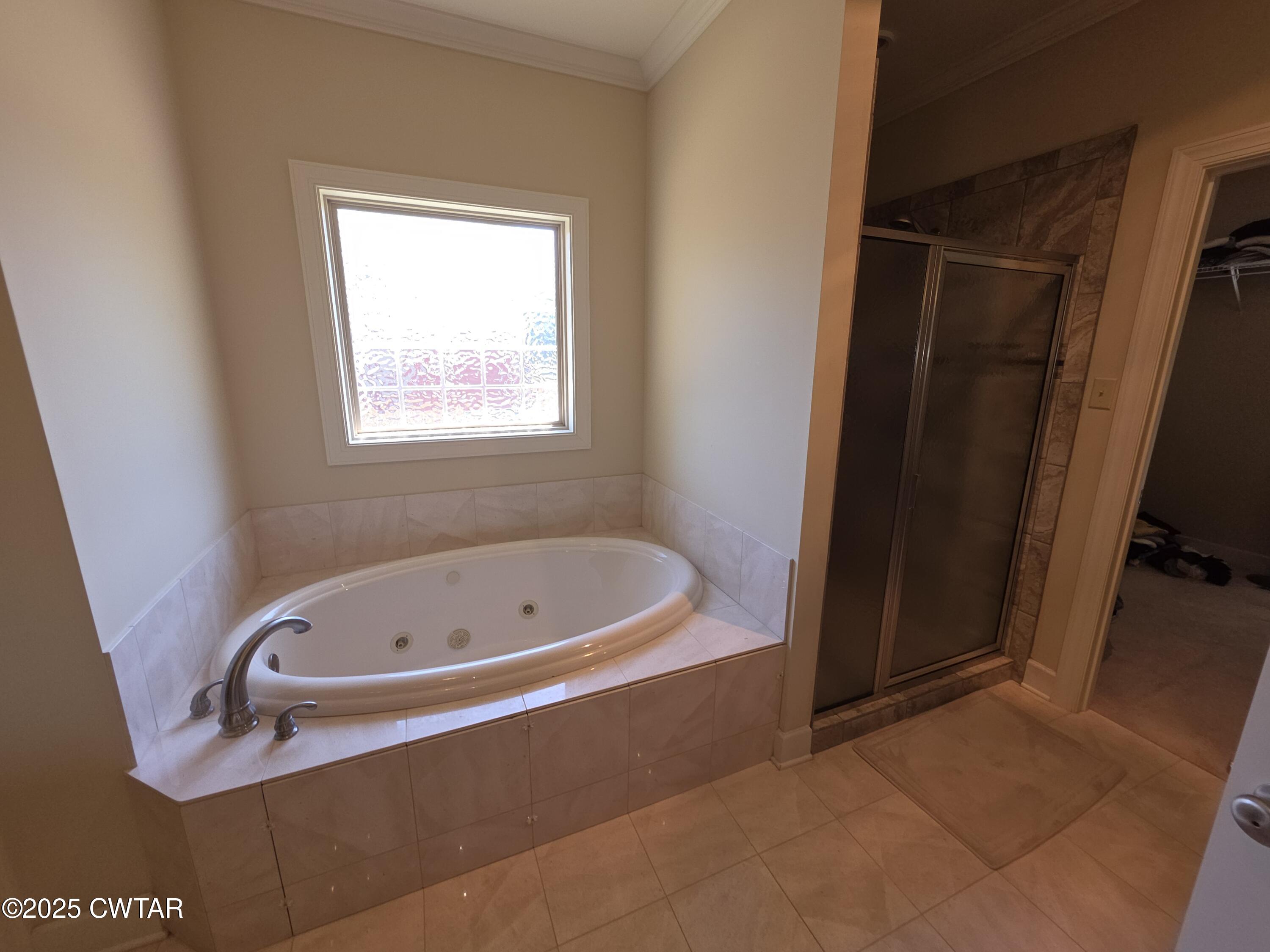 68 Windemere Circle Jackson, TN 38305 - Photo 15 of 32 Primary Bathroom