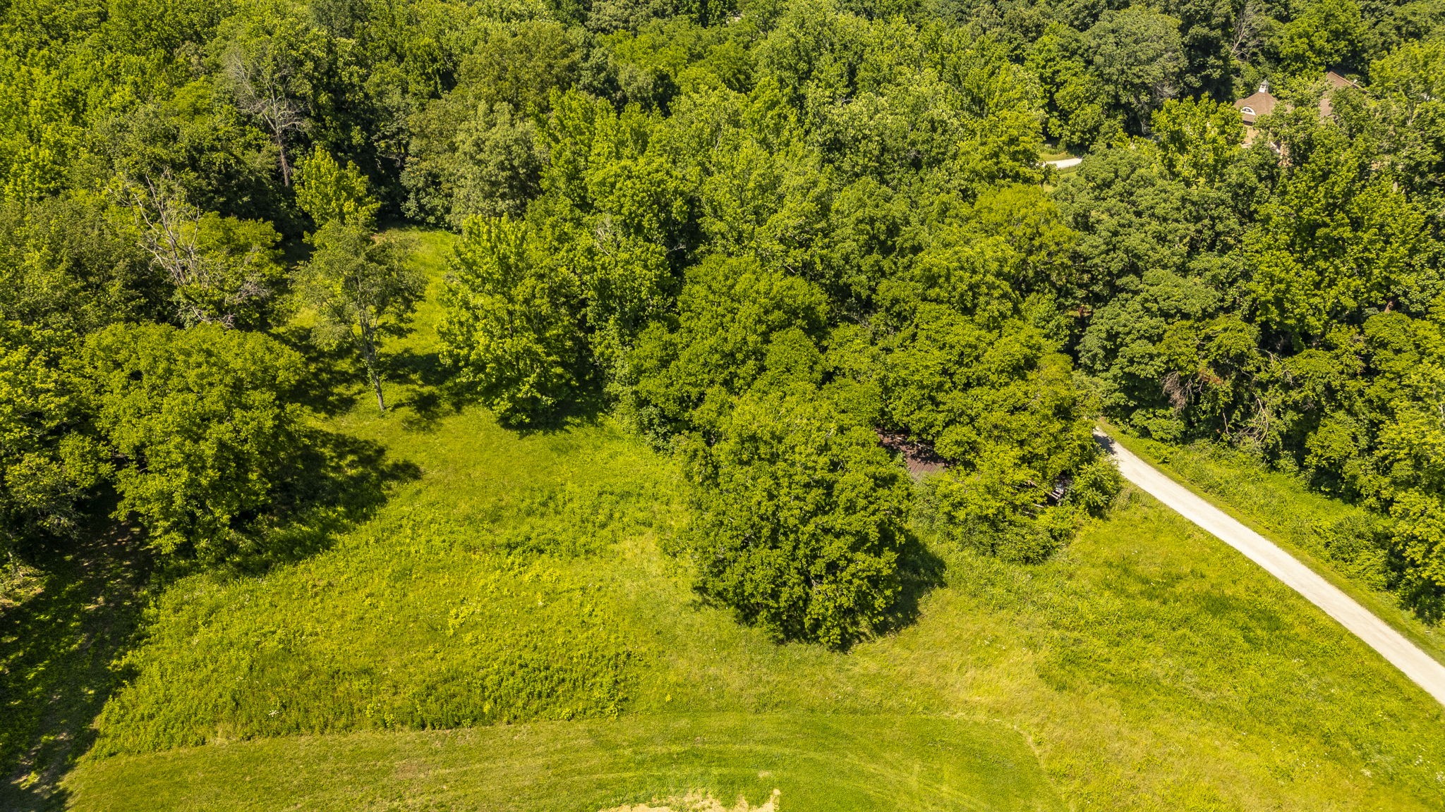 8326 Betts Road Greenbrier, TN 37073 - Photo 47 of 51