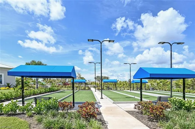 a view of a street with a palm tree