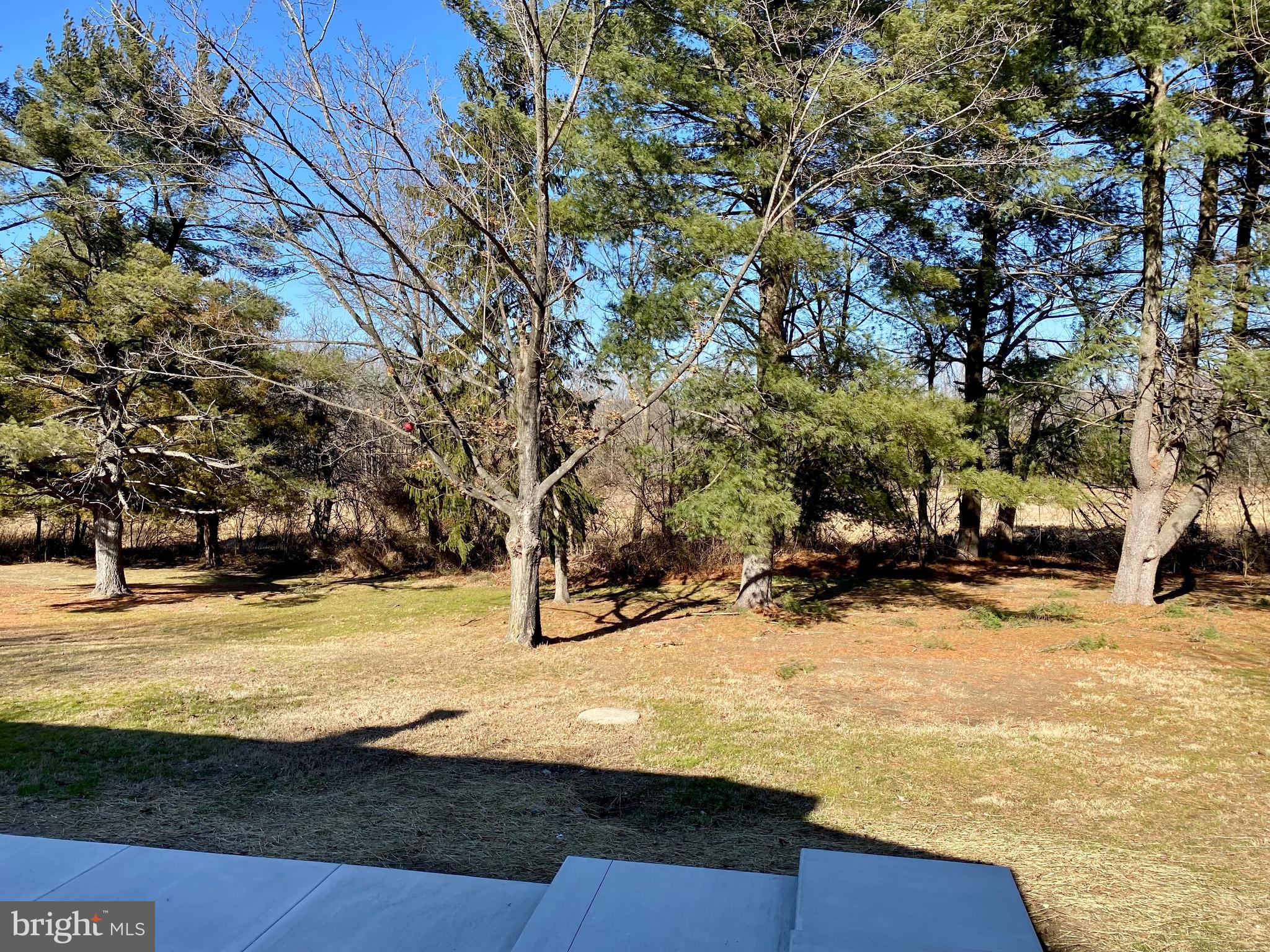 1297 Highway 40 Pilesgrove, NJ 08098 - Photo 31 of 32 a view of a yard with snow