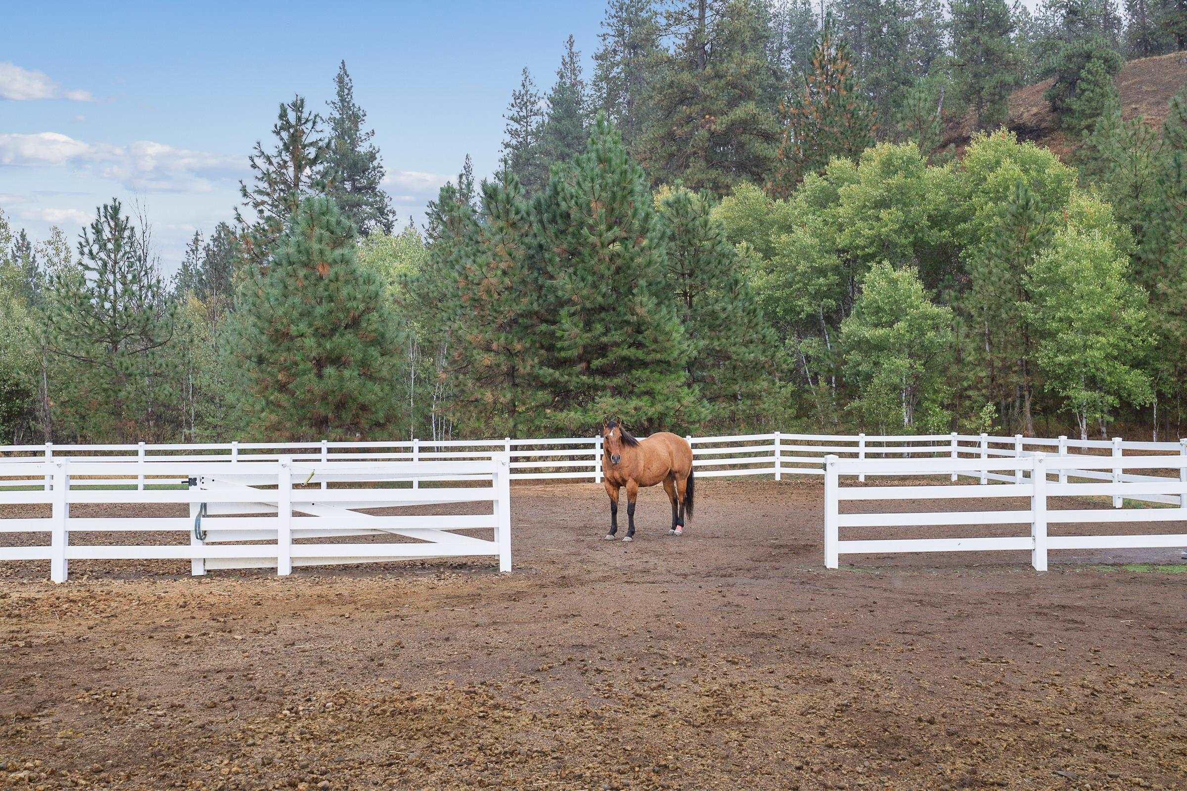 8215 South Sherman Road Spokane, WA 99224 - Photo 24 of 26