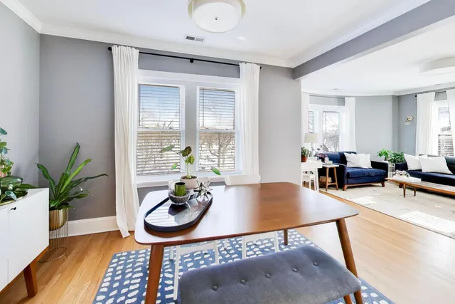 a living room with furniture a potted plant and a table