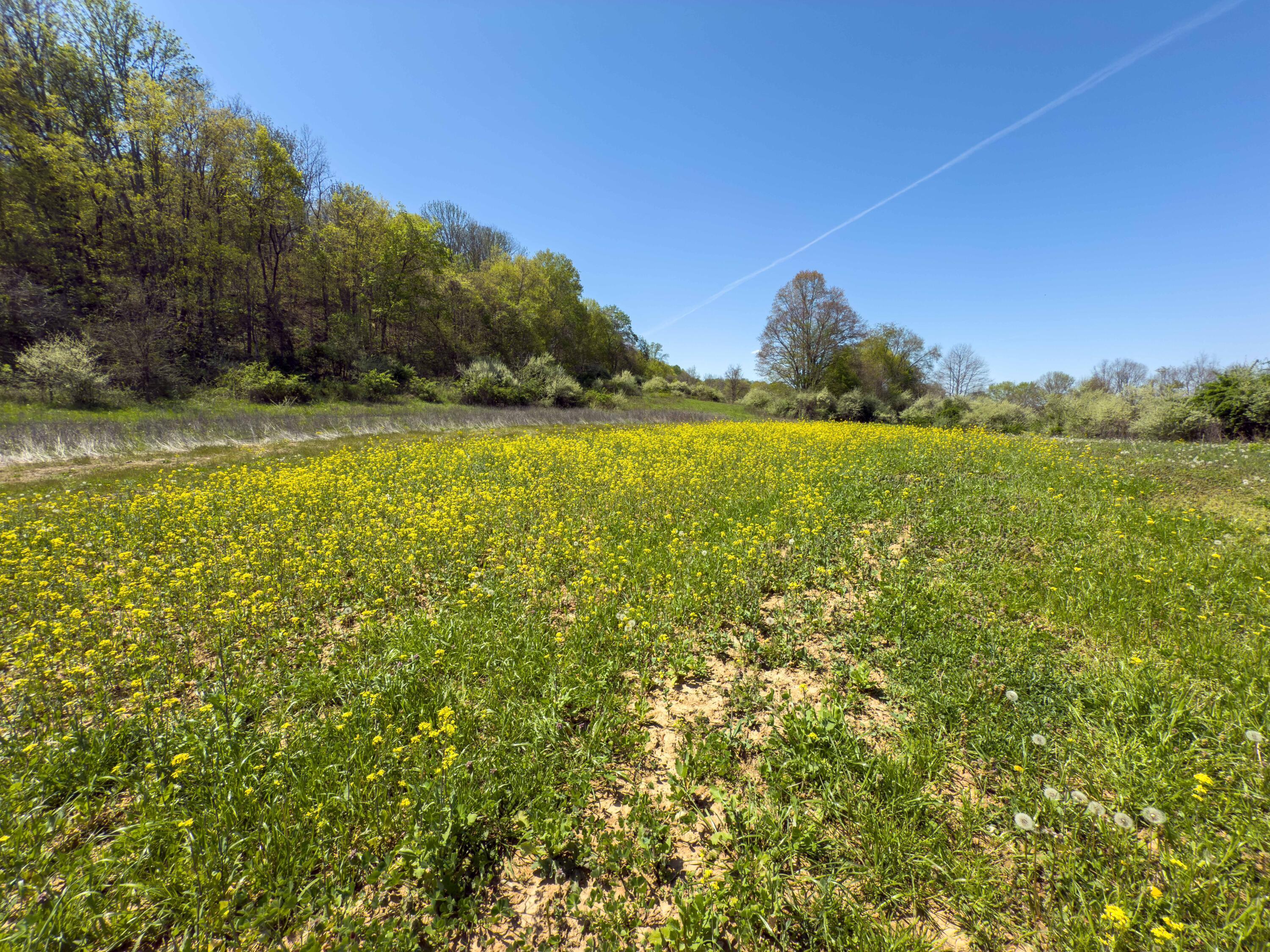 14375 Hooper Ridge Road Millfield, OH 45761 - Photo 56 of 86 Hooper Ridge Rd-55