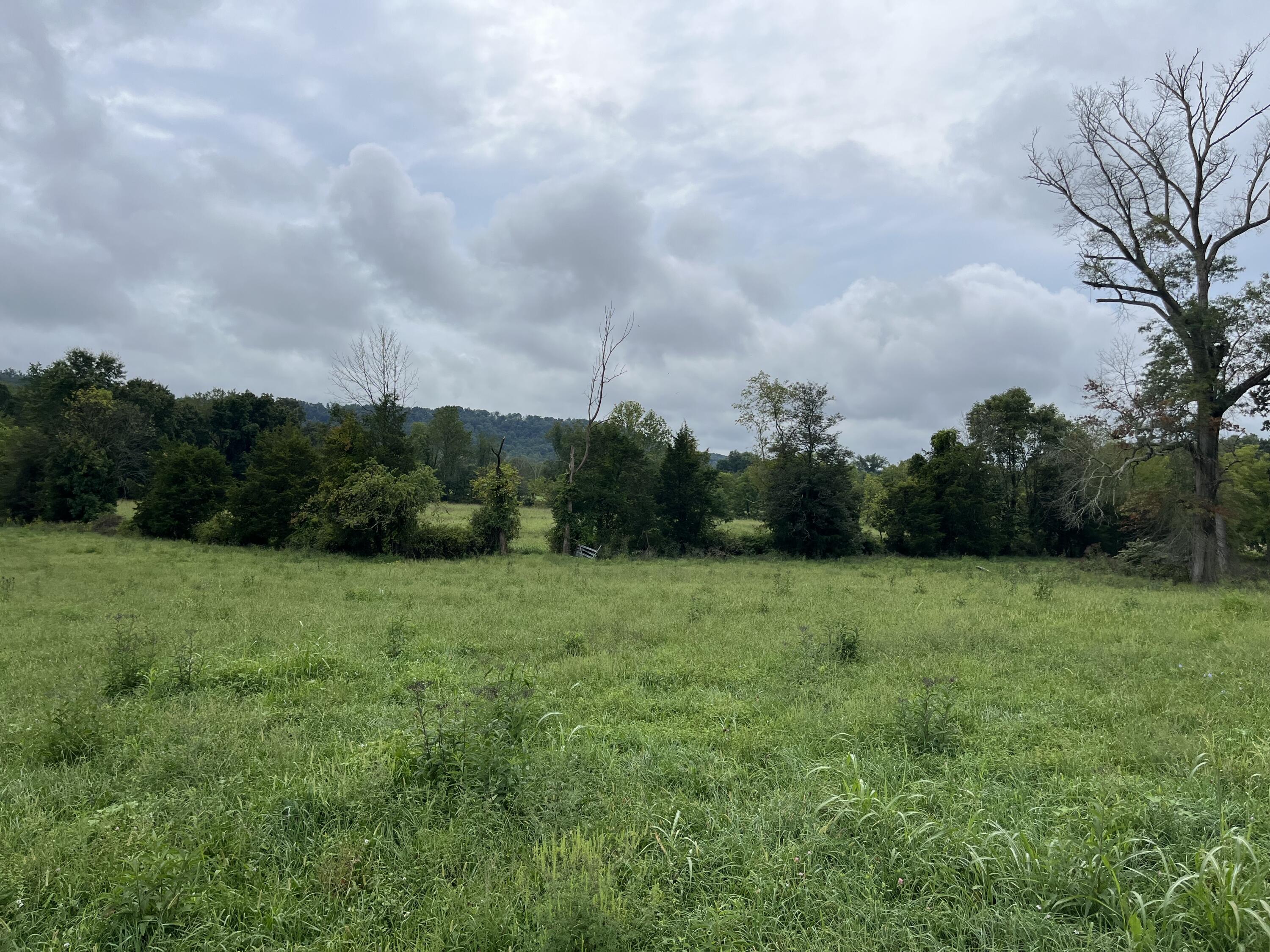 9999 Copper Creek Road Berea, KY 40403 - Photo 2 of 5 IMG_3028