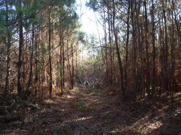 $49,900 | Luna Road, Warrenton, NC 27589