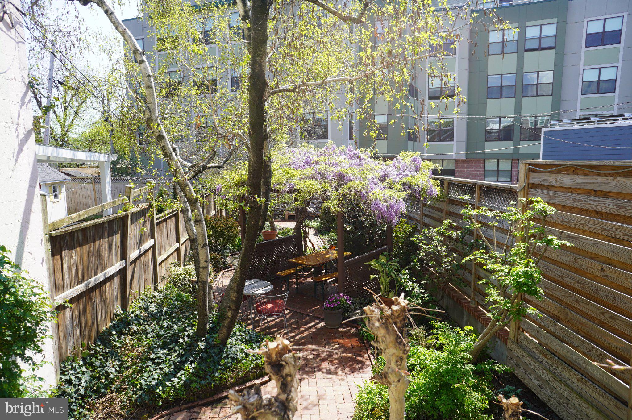 1233 E Street Southeast Washington, DC 20003 - Photo 24 of 37