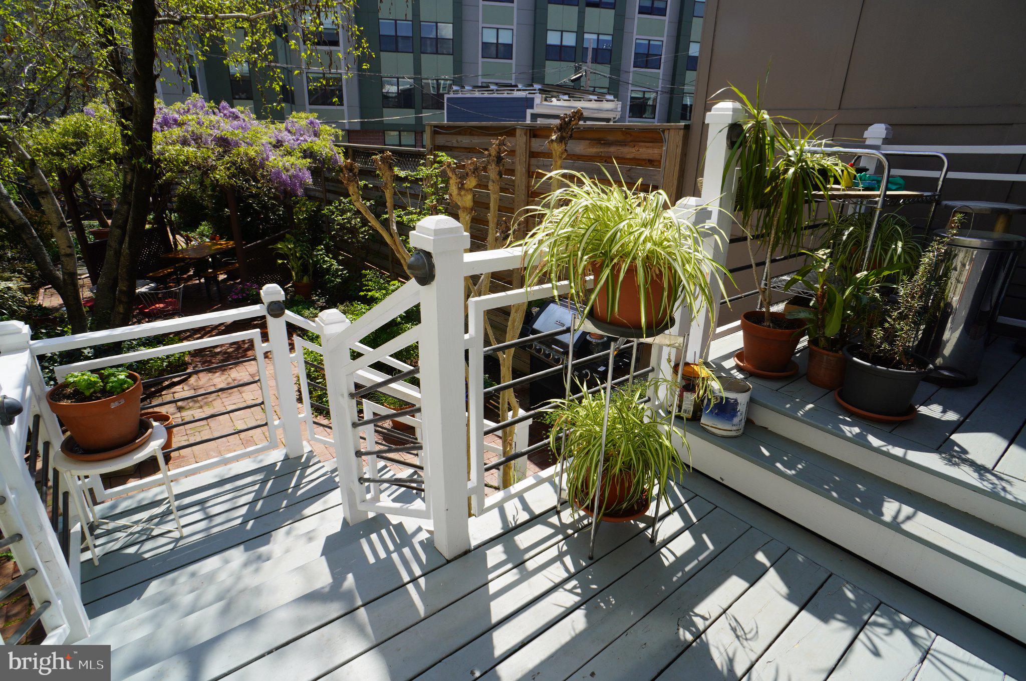 1233 E Street Southeast Washington, DC 20003 - Photo 33 of 37