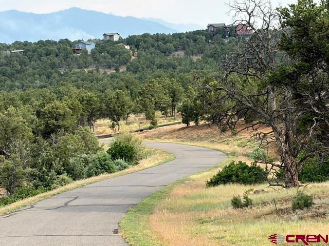 254 Waterview Cove Ridgway, CO 81432 - Photo 7 of 28
