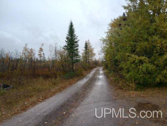 53776 Kuivanen Road Lake Linden, MI 49945 - Photo 12 of 12
