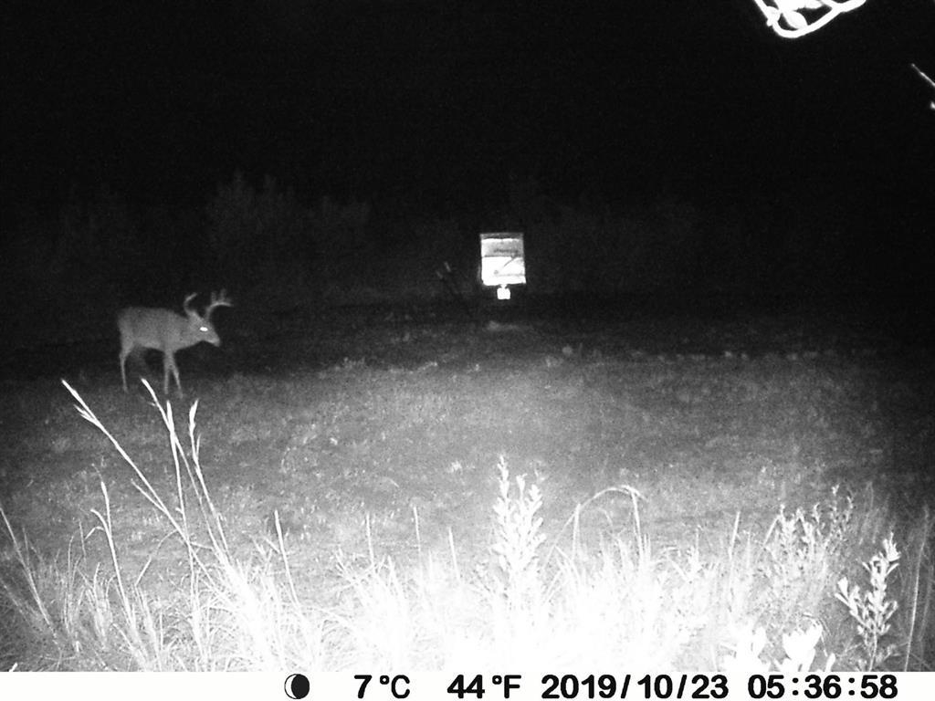 0 Walker Springs Road Monticello, FL 32344 - Photo 1 of 15