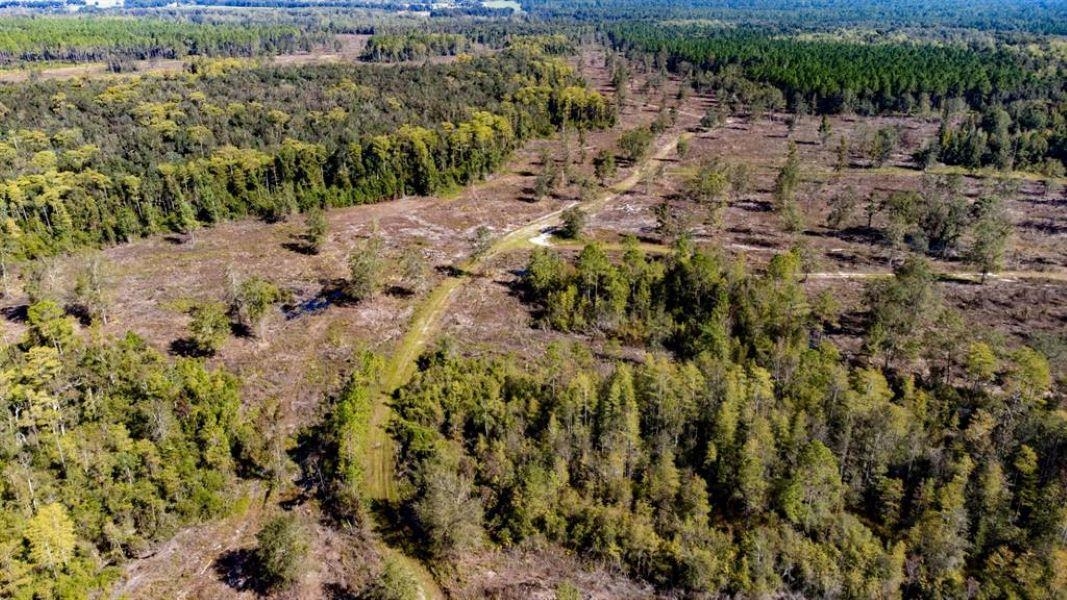 0 Walker Springs Road Monticello, FL 32344 - Photo 11 of 15