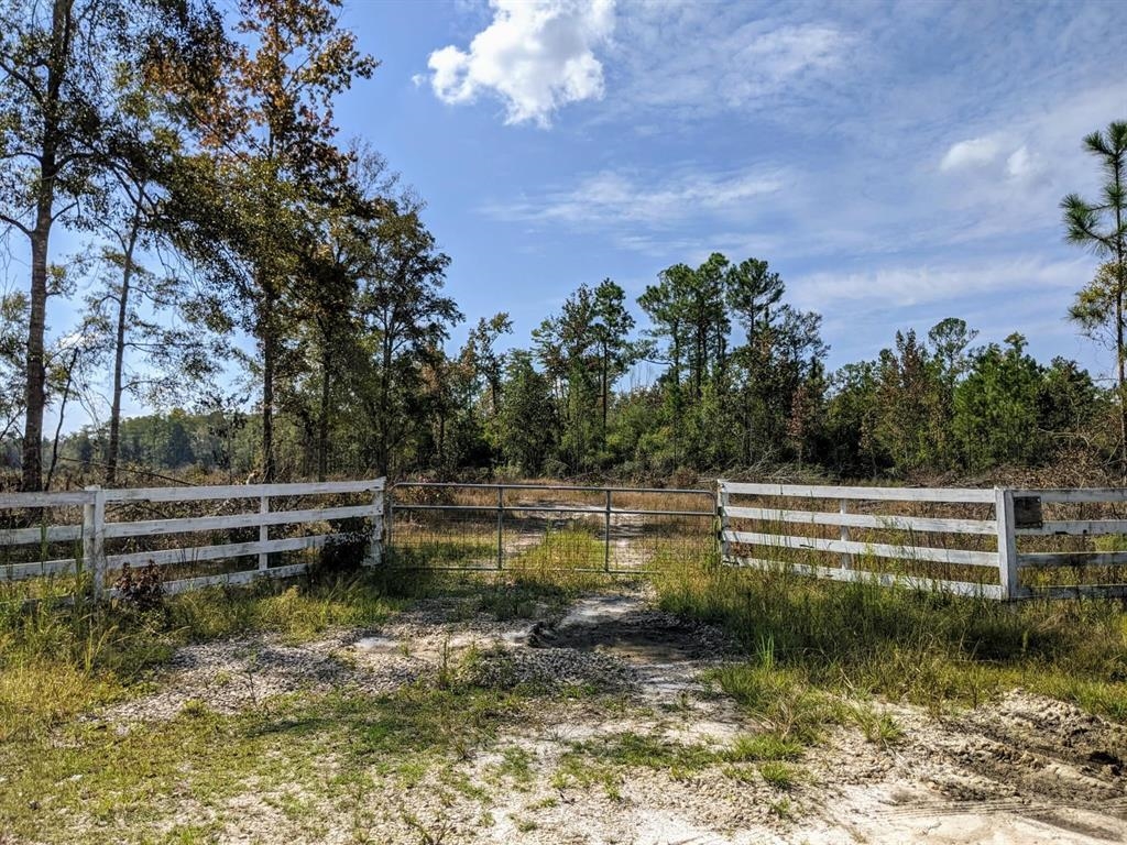 0 Walker Springs Road Monticello, FL 32344 - Photo 12 of 15