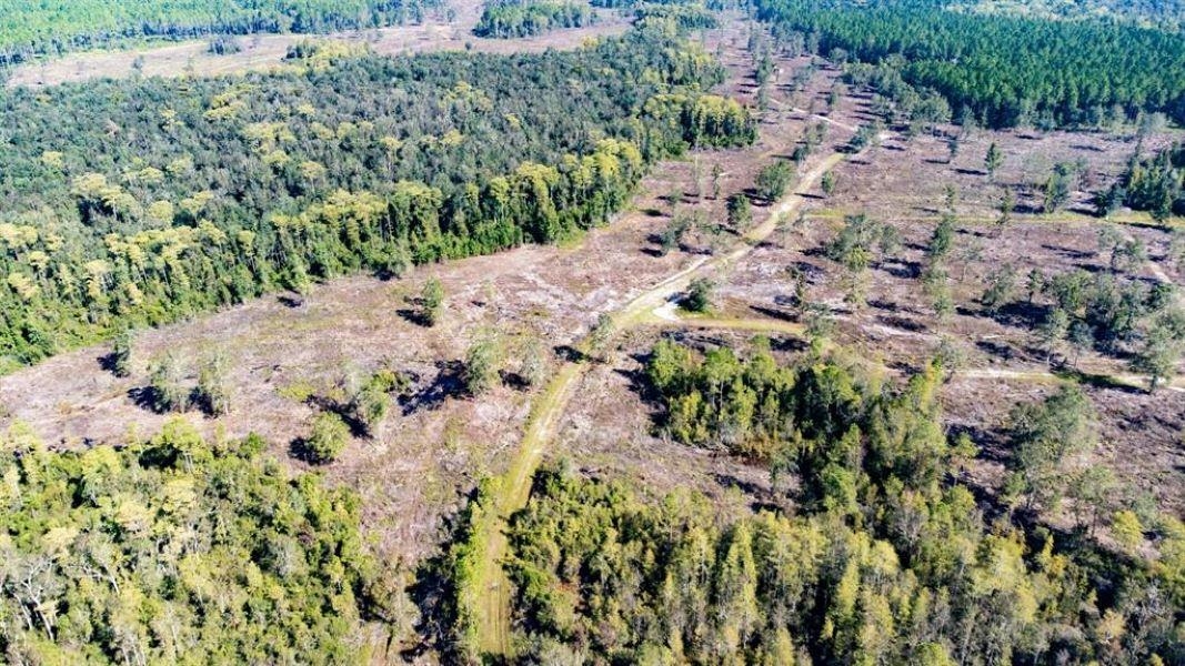 0 Walker Springs Road Monticello, FL 32344 - Photo 15 of 15