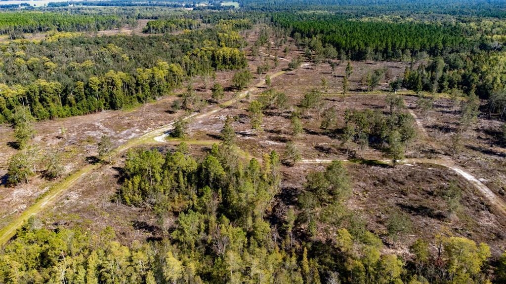 0 Walker Springs Road Monticello, FL 32344 - Photo 3 of 15