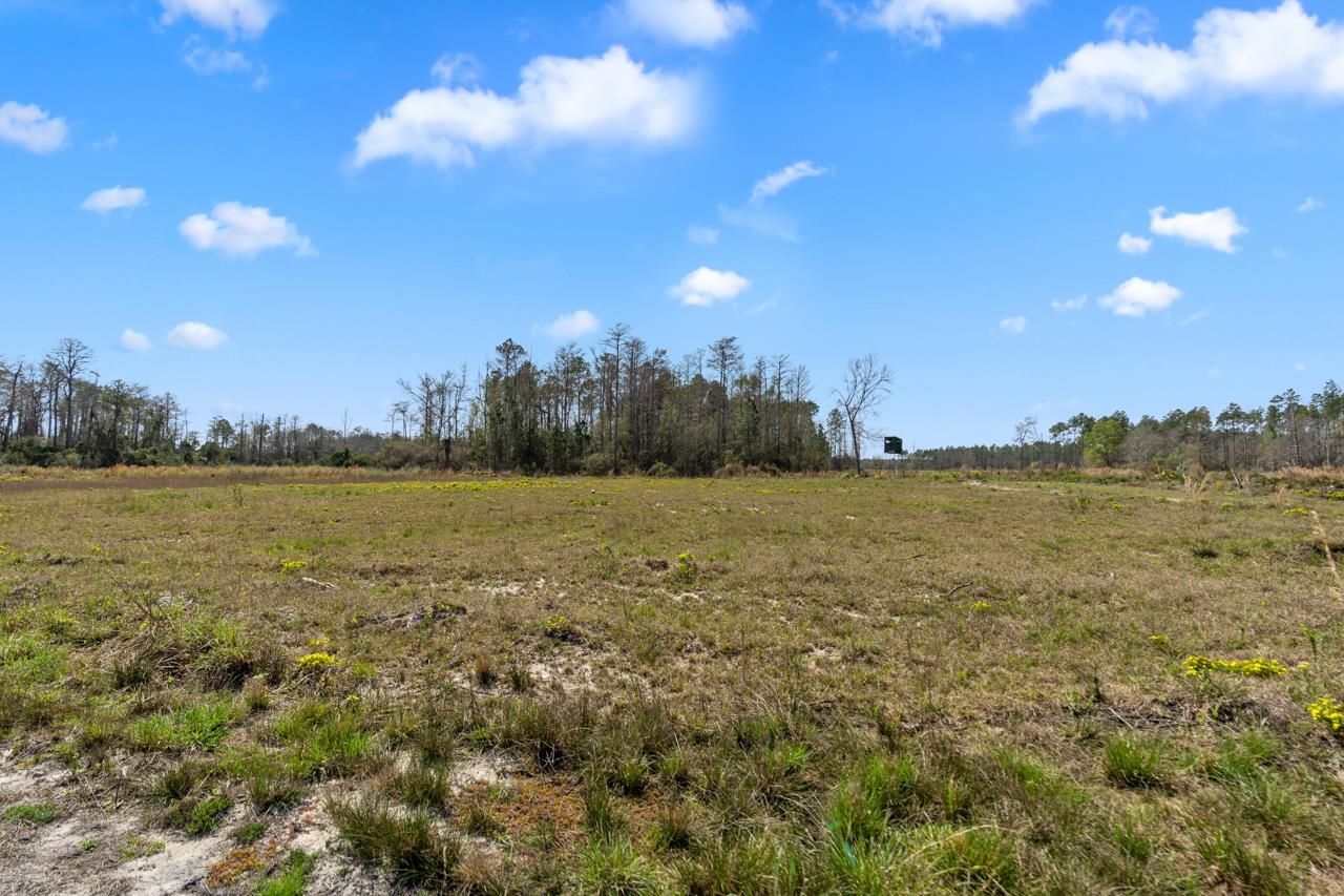 0 Walker Springs Road Monticello, FL 32344 - Photo 4 of 15