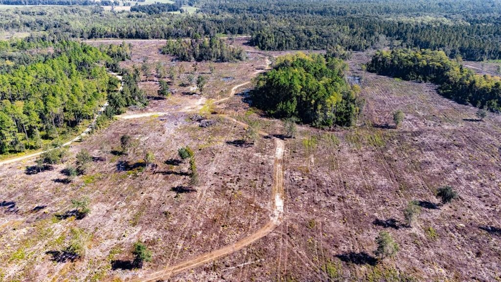 0 Walker Springs Road Monticello, FL 32344 - Photo 5 of 15