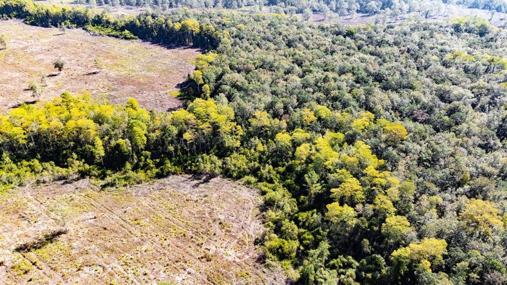 0 Walker Springs Road Monticello, FL 32344 - Photo 6 of 15