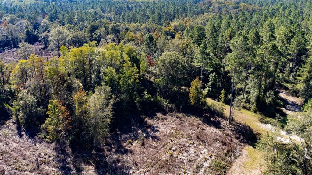 0 Walker Springs Road Monticello, FL 32344 - Photo 7 of 15