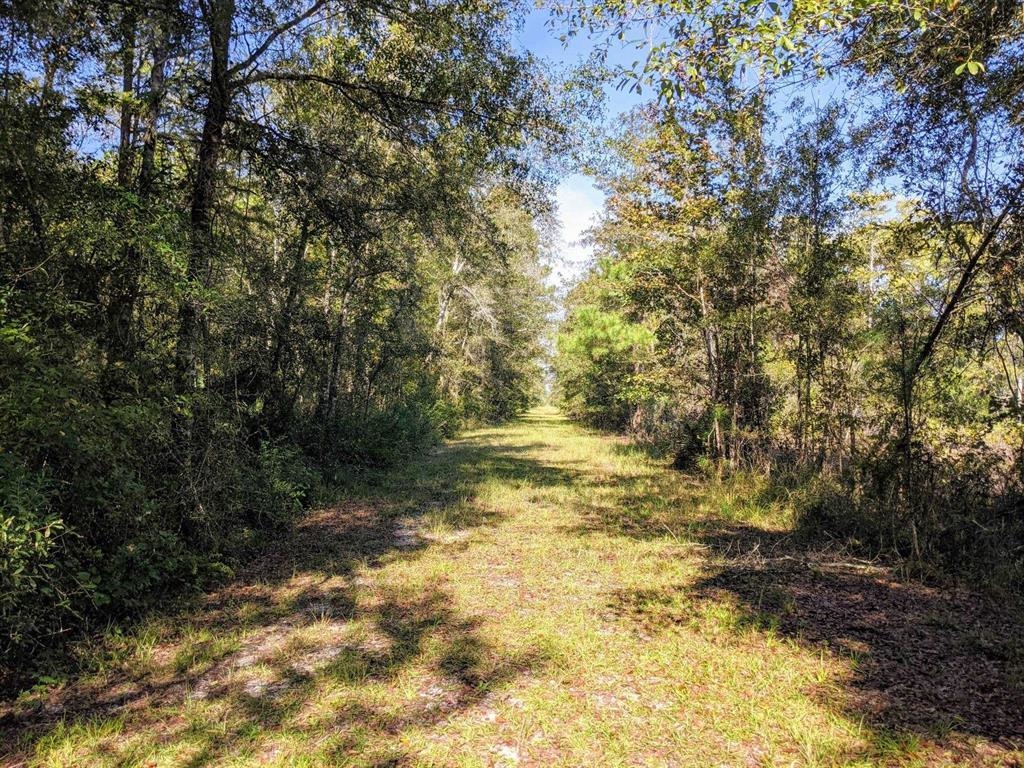 0 Walker Springs Road Monticello, FL 32344 - Photo 10 of 15