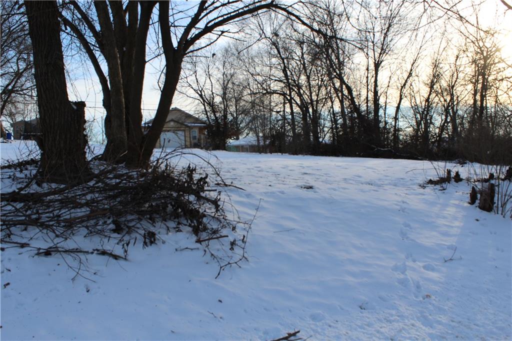 208 Springdale Avenue Bonner Springs, KS 66012 - Photo 3 of 9