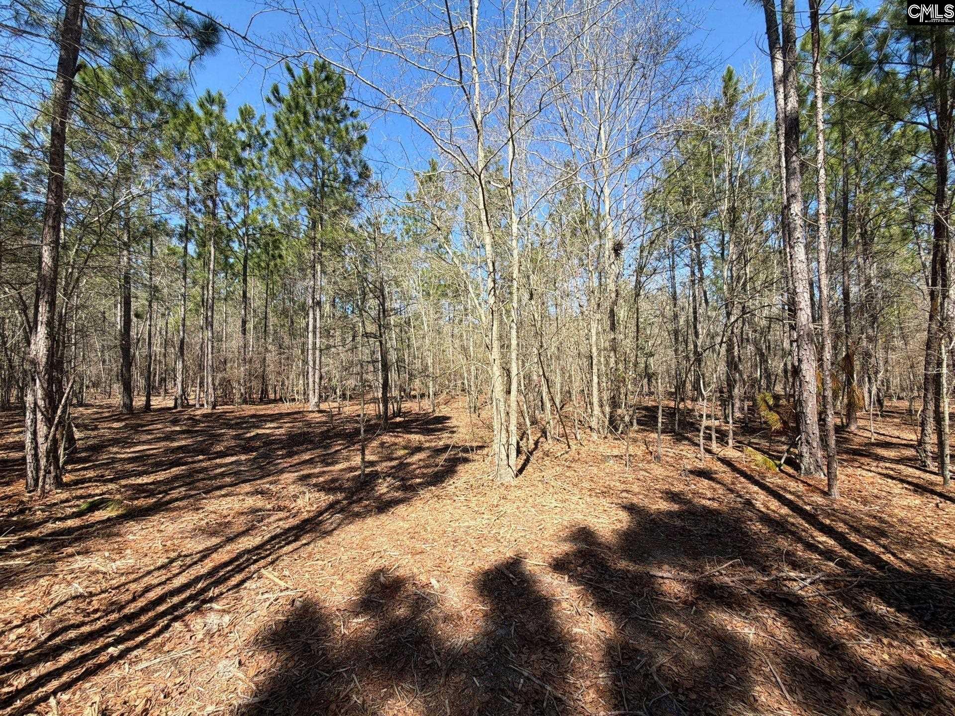 13 Boise Cascade Road, Unit BHL 13 Bethune, SC 29009 - Photo 9 of 31