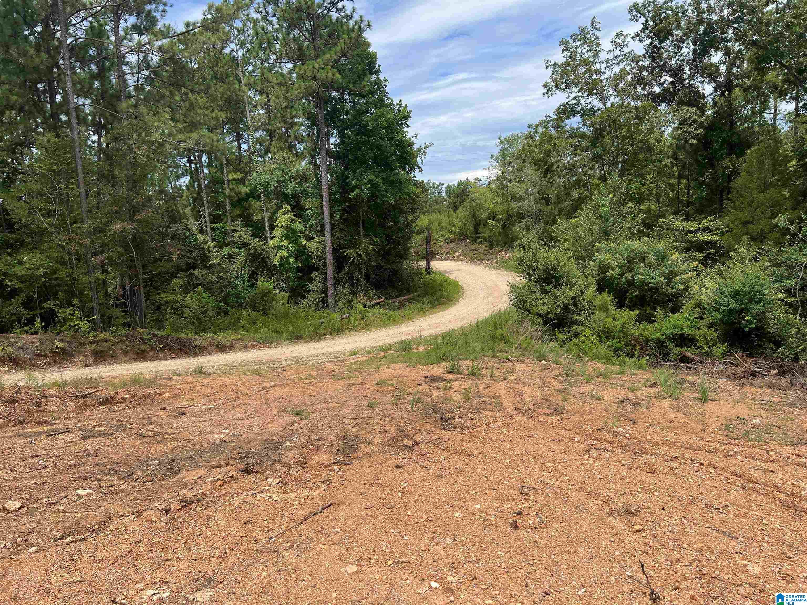 0 County Road 188 Clanton, AL 35046 - Photo 13 of 20