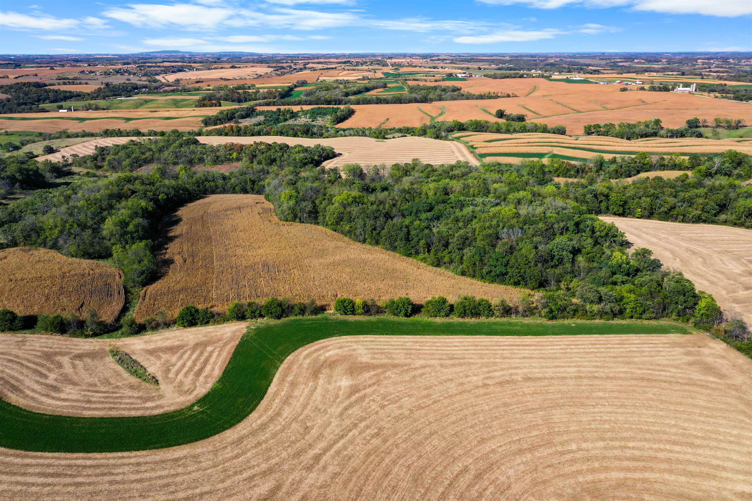 Lot 1 Dividing Ridge Monticello, WI 53570 - Photo 5 of 7