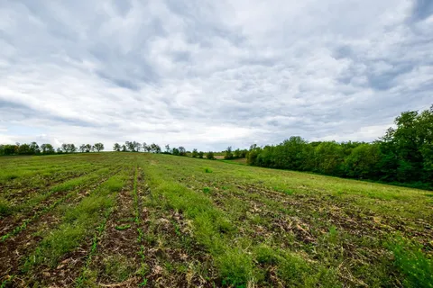 $430,000 | Lot 1 Dividing Ridge Road, Monticello, WI 53570