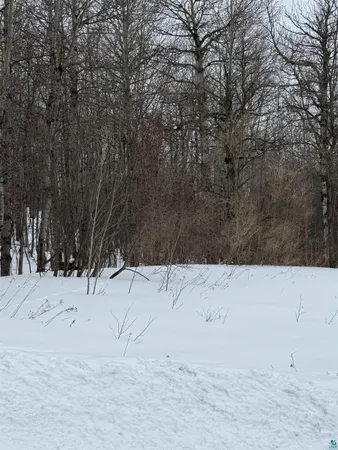 $39,000 | 10-xx Joshua Avenue, Duluth, MN 55811