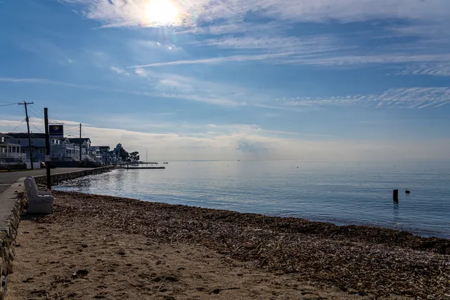 a view of a dry yard