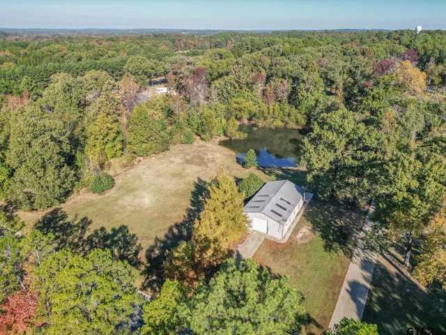 a view of a yard with plants and a trees