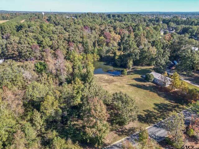 an aerial view of residential houses with outdoor space and trees