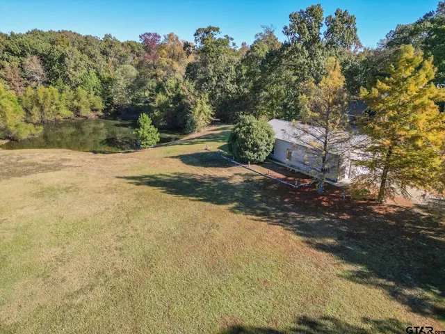 a view of a yard with plants and trees