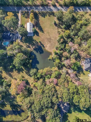 a view of a forest with a forest