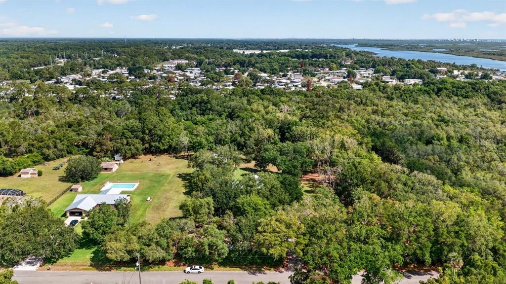 171 William Street Edgewater, FL 32141 - Photo 36 of 40 an aerial view of residential house with outdoor space and trees all around