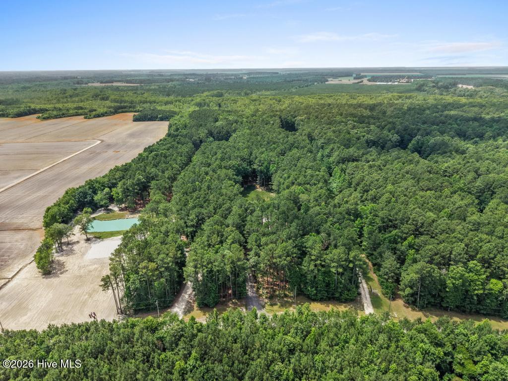 258 Guinea Mill Road Moyock, NC 27958 - Photo 52 of 54