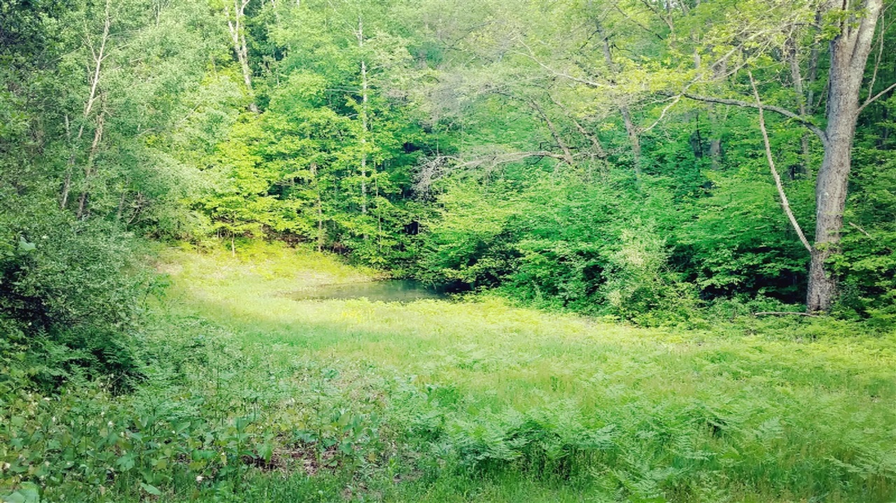 80 South Centerline Road Newaygo, MI 49337 - Photo 8 of 23