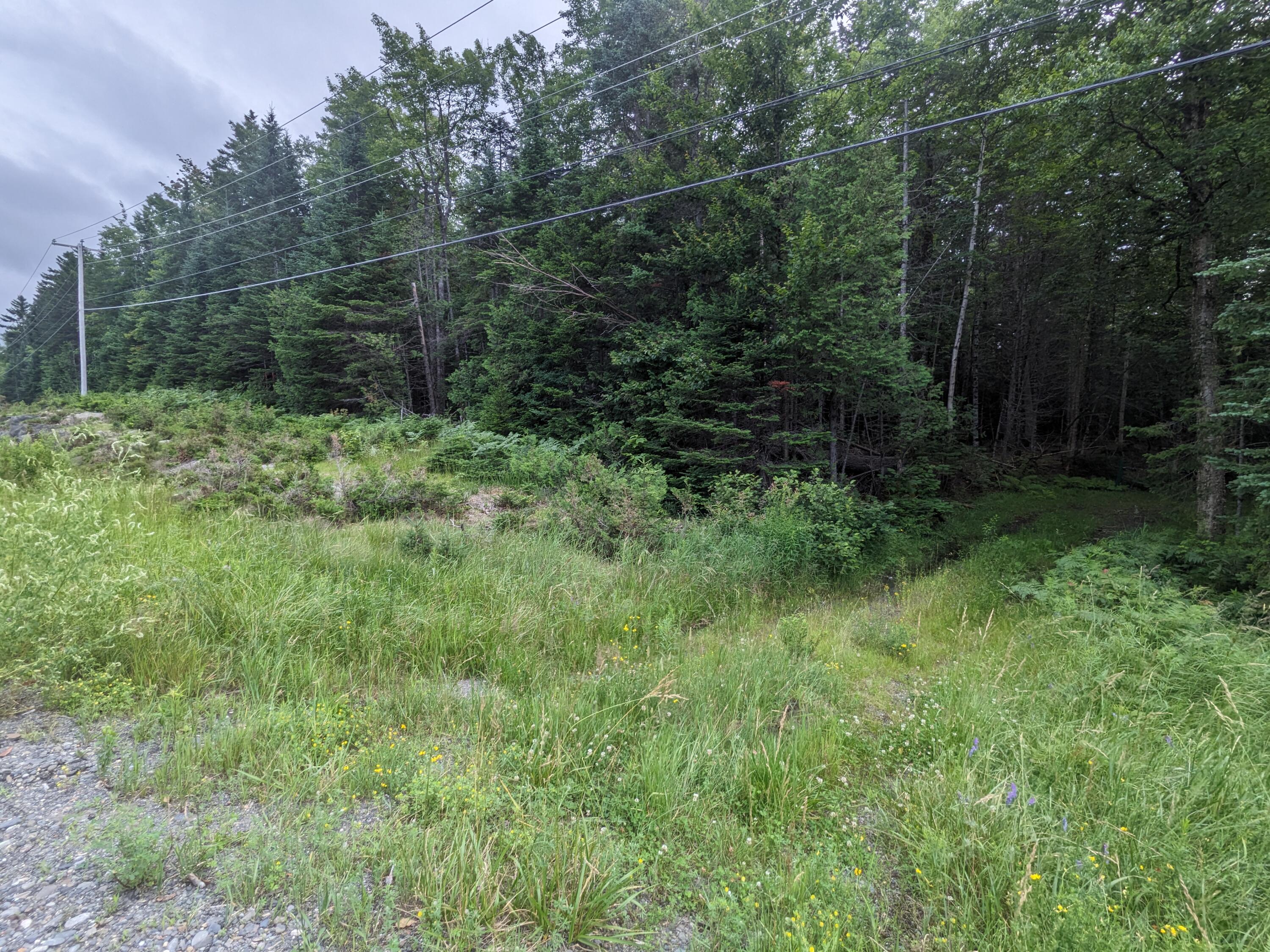 2 Greenville Road Shirley Mills, ME 04485 - Photo 36 of 40 PXL_20230715_211913849