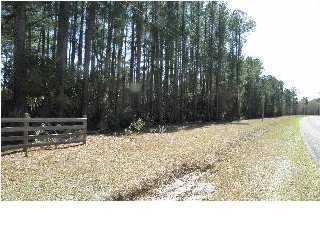 2294 Cypress Pond Road Walterboro, SC 29488 - Photo 7 of 8 Additional Photo