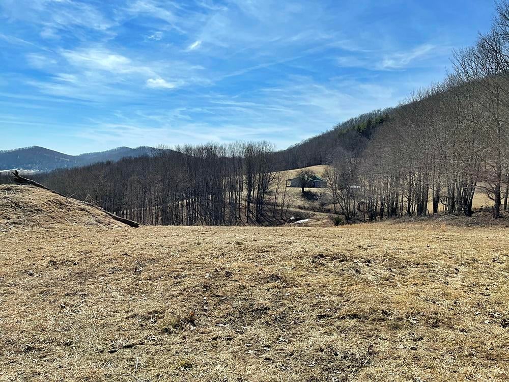 835 Greathouse Road Bartow, WV 24920 - Photo 27 of 34 Gallery Image 27