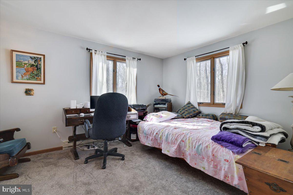 157 Selig Road Pocono Lake, PA 18347 - Photo 26 of 74