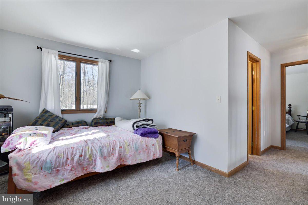 157 Selig Road Pocono Lake, PA 18347 - Photo 27 of 74