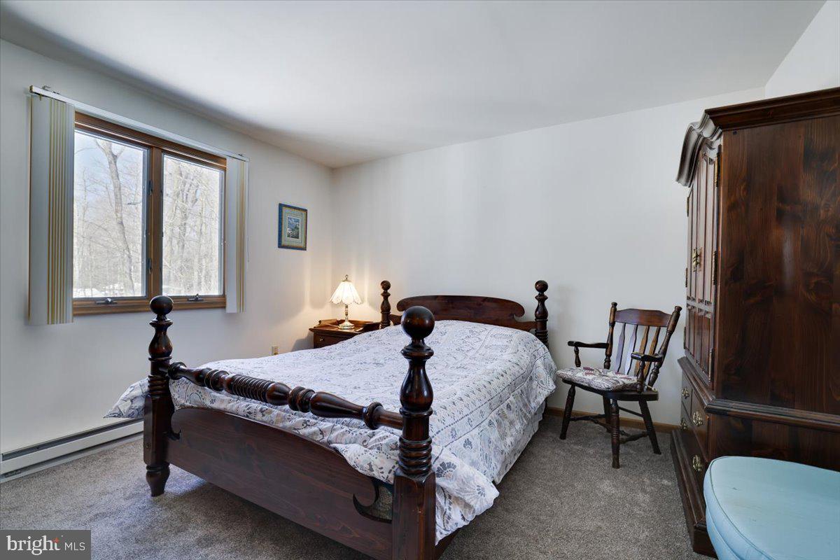 157 Selig Road Pocono Lake, PA 18347 - Photo 34 of 74