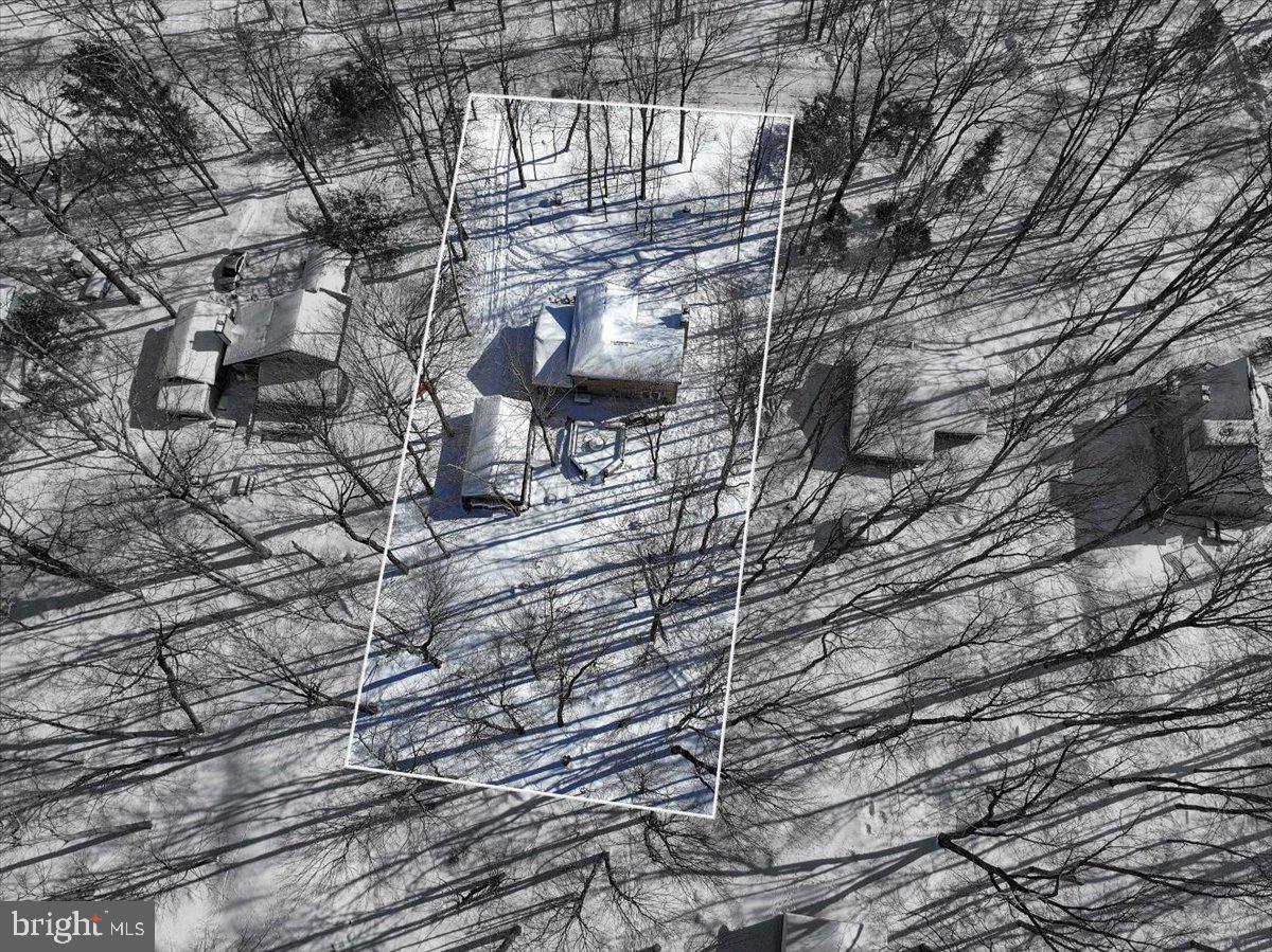 157 Selig Road Pocono Lake, PA 18347 - Photo 42 of 74