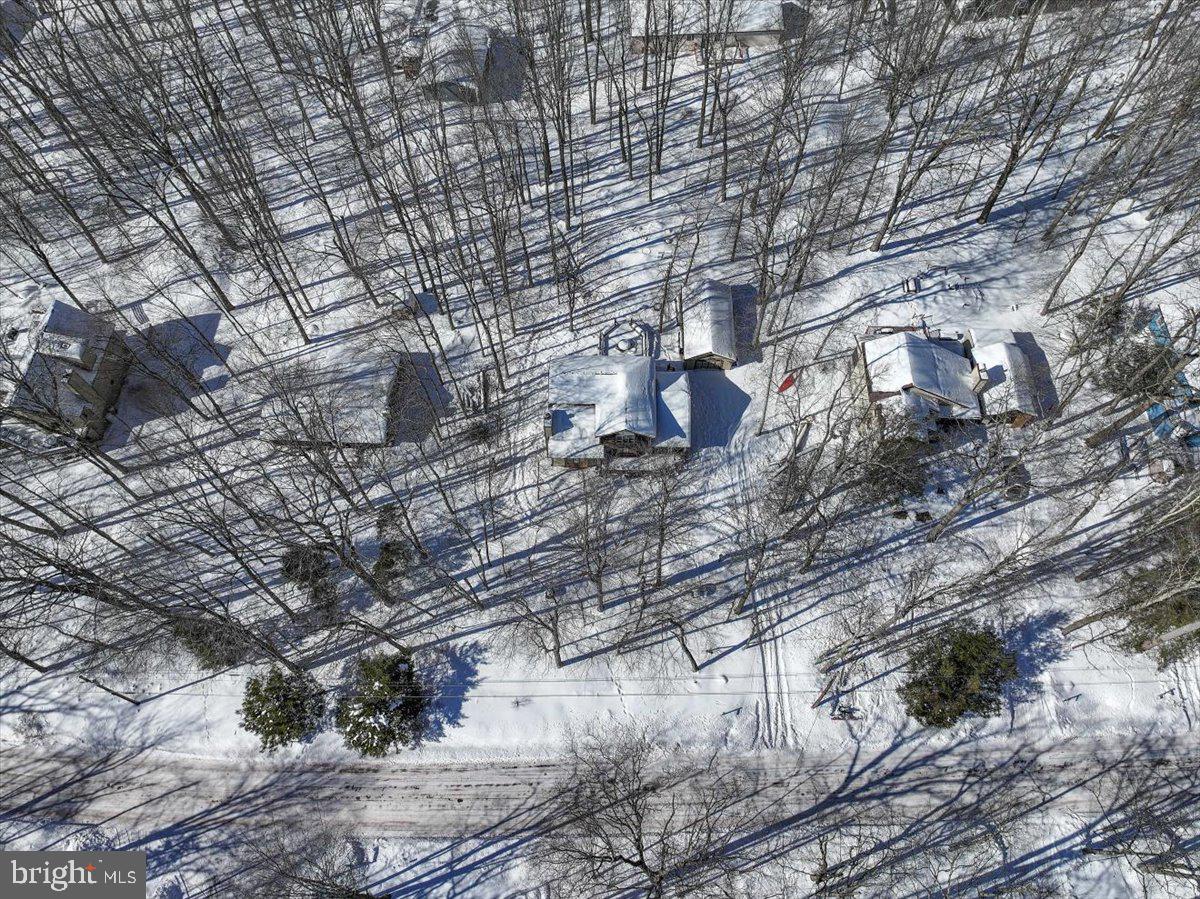 157 Selig Road Pocono Lake, PA 18347 - Photo 43 of 74