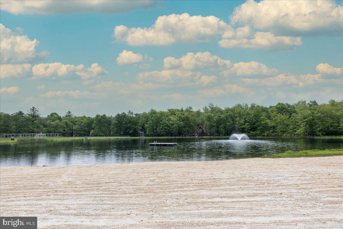 157 Selig Road Pocono Lake, PA 18347 - Photo 45 of 74