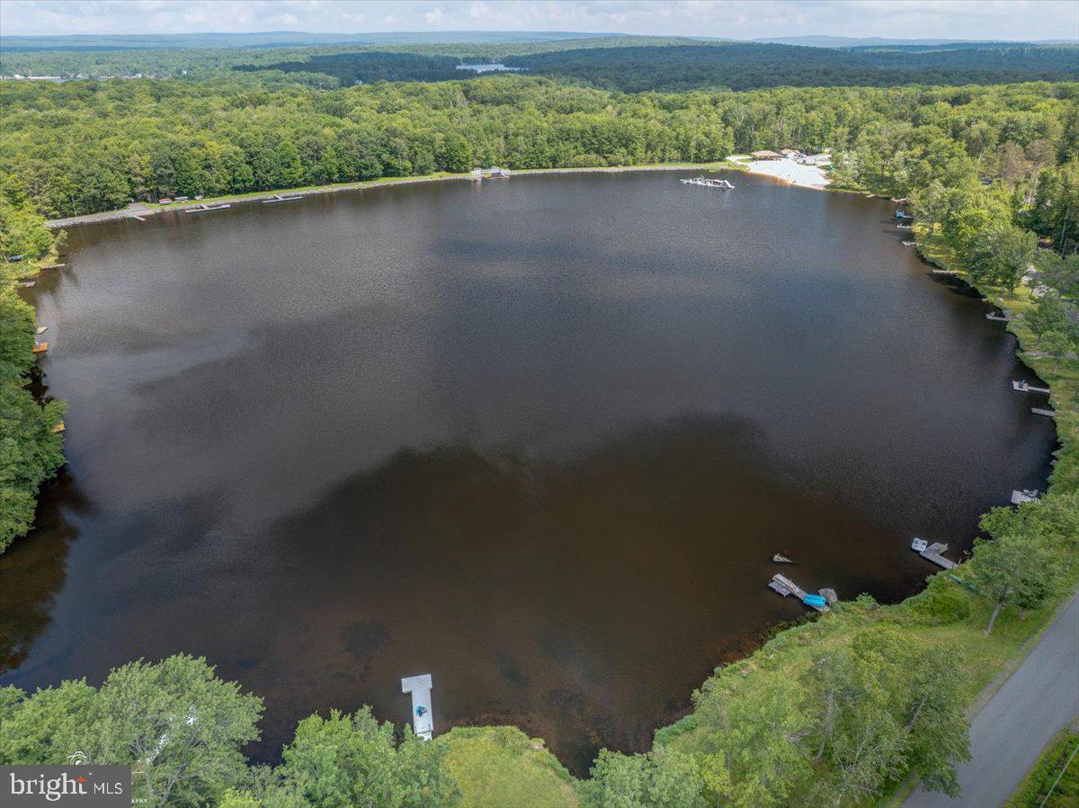 157 Selig Road Pocono Lake, PA 18347 - Photo 49 of 74