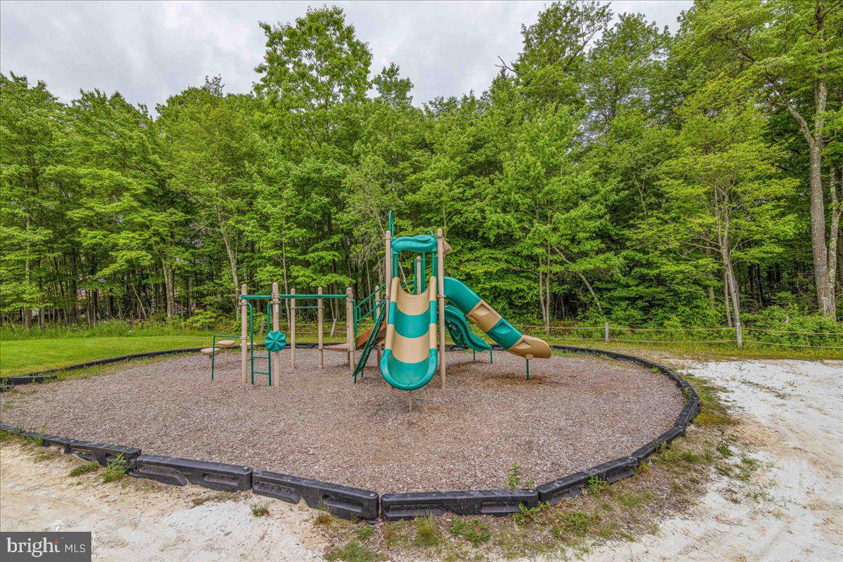 157 Selig Road Pocono Lake, PA 18347 - Photo 52 of 74