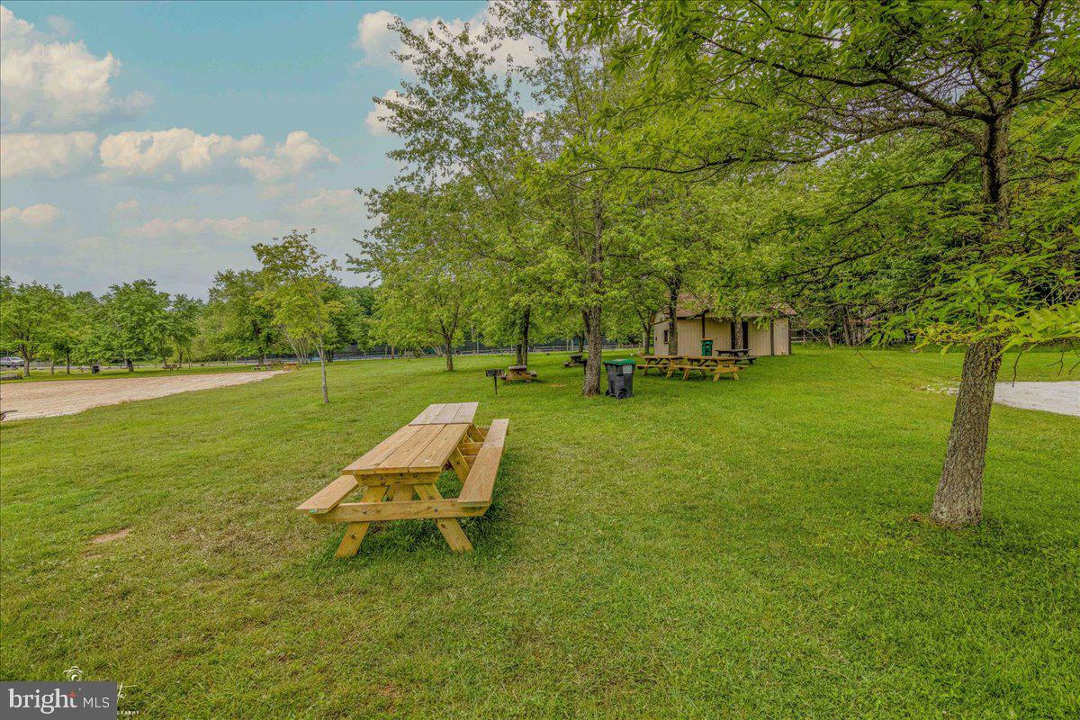 157 Selig Road Pocono Lake, PA 18347 - Photo 53 of 74