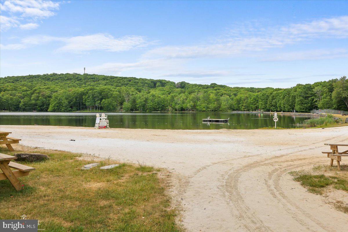 157 Selig Road Pocono Lake, PA 18347 - Photo 57 of 74